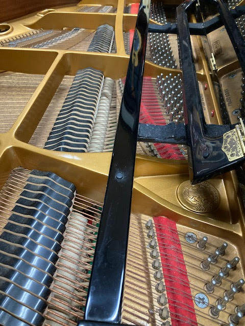 Grand Piano Strings Music at Noosa