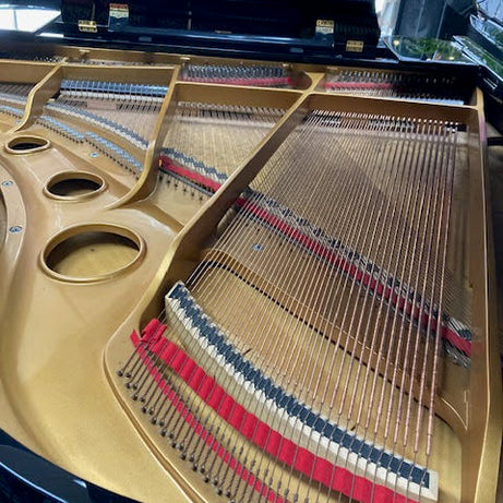 Pre-Owned Grand Piano Music at Noosa 
