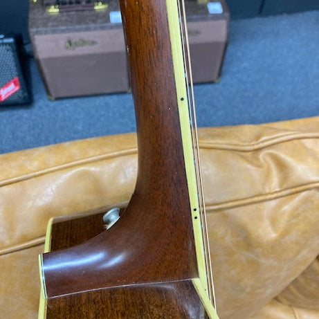 Santa Cruz Guitar Music at Noosa