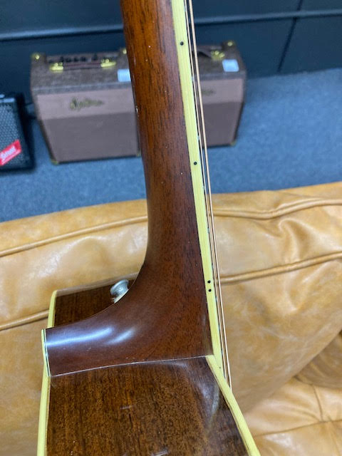 Santa Cruz Guitar Music at Noosa