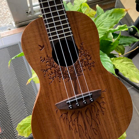 Veelah Concert Ukulele solid Acacia top w/ gigbag