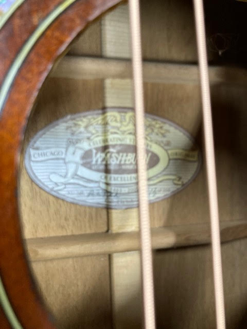 Washburn 125th anniversary limited edition parlour guitar w/ case