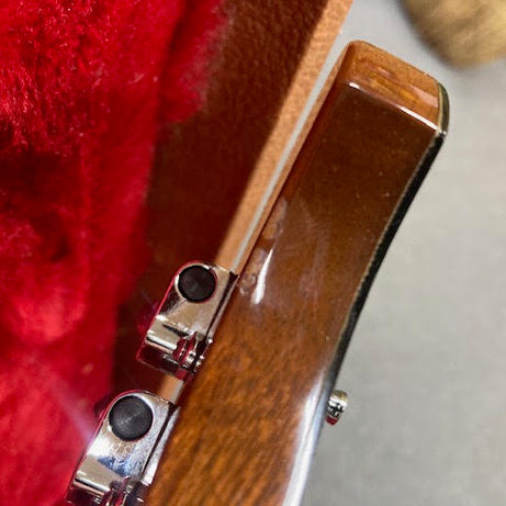 Gibson Firebird 2019 w/ hardcase