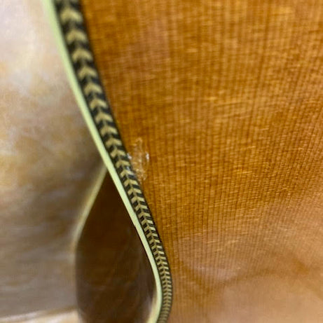 Santa Cruz Mark Music at Noosa