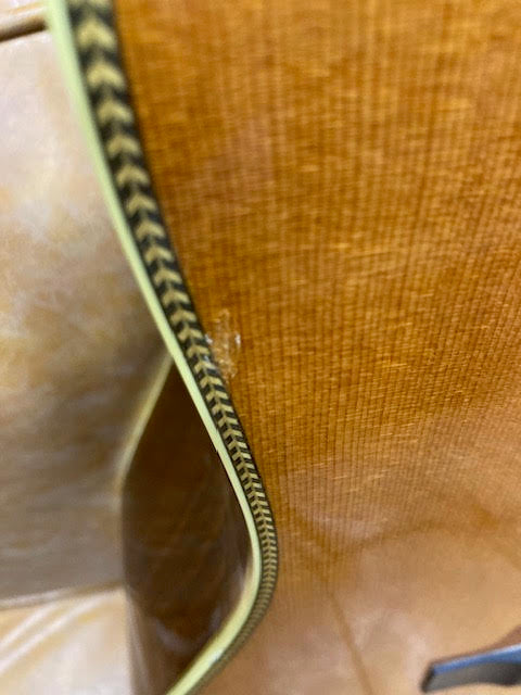 Santa Cruz Mark Music at Noosa