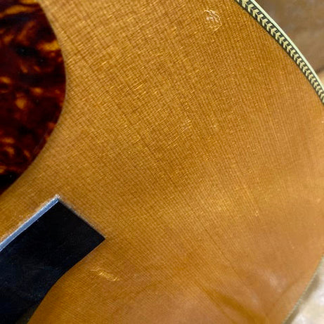 Santa Cruz Mark Guitar