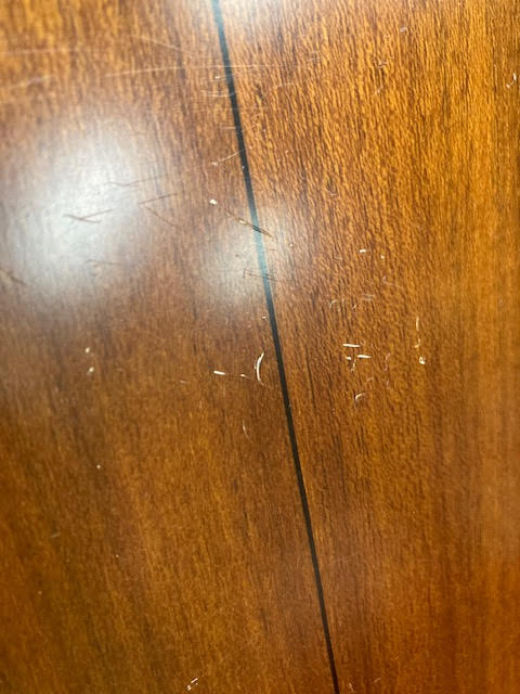 Maton Tasman CW40 1980's acoustic guitar w/ case