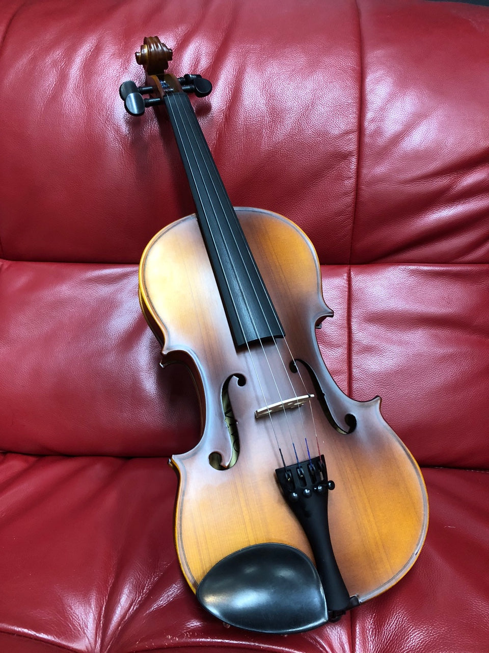 Vivo Neo Student 4/4 Violin Outfit with Professional Setup - VINEO44U MUSIC@NOOSA NOOSA MUSIC FULL SIZE VIOLIN 