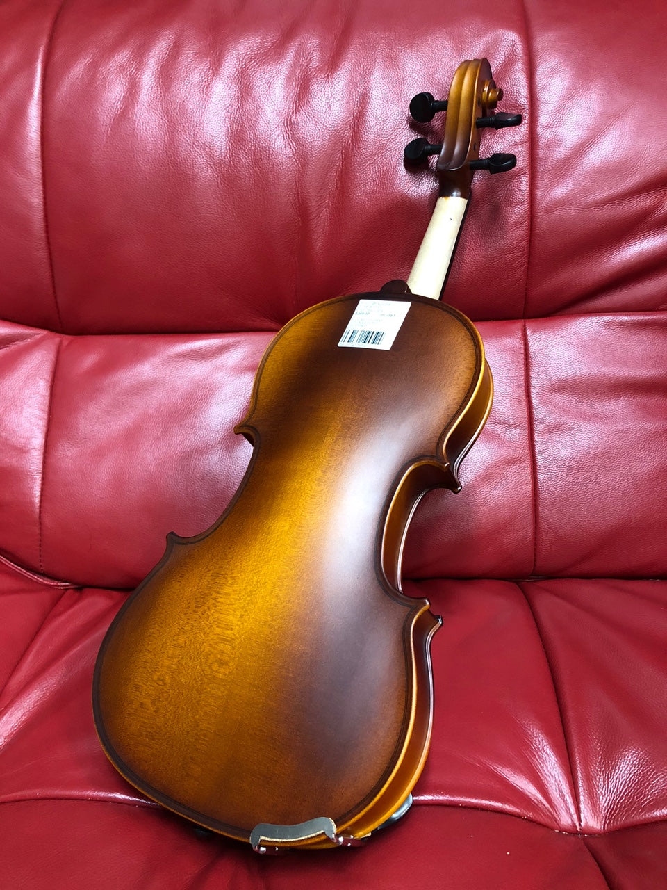 Vivo Neo Student 4/4 Violin Outfit with Professional Setup - VINEO44U MUSIC@NOOSA NOOSA MUSIC FULL SIZE VIOLIN 