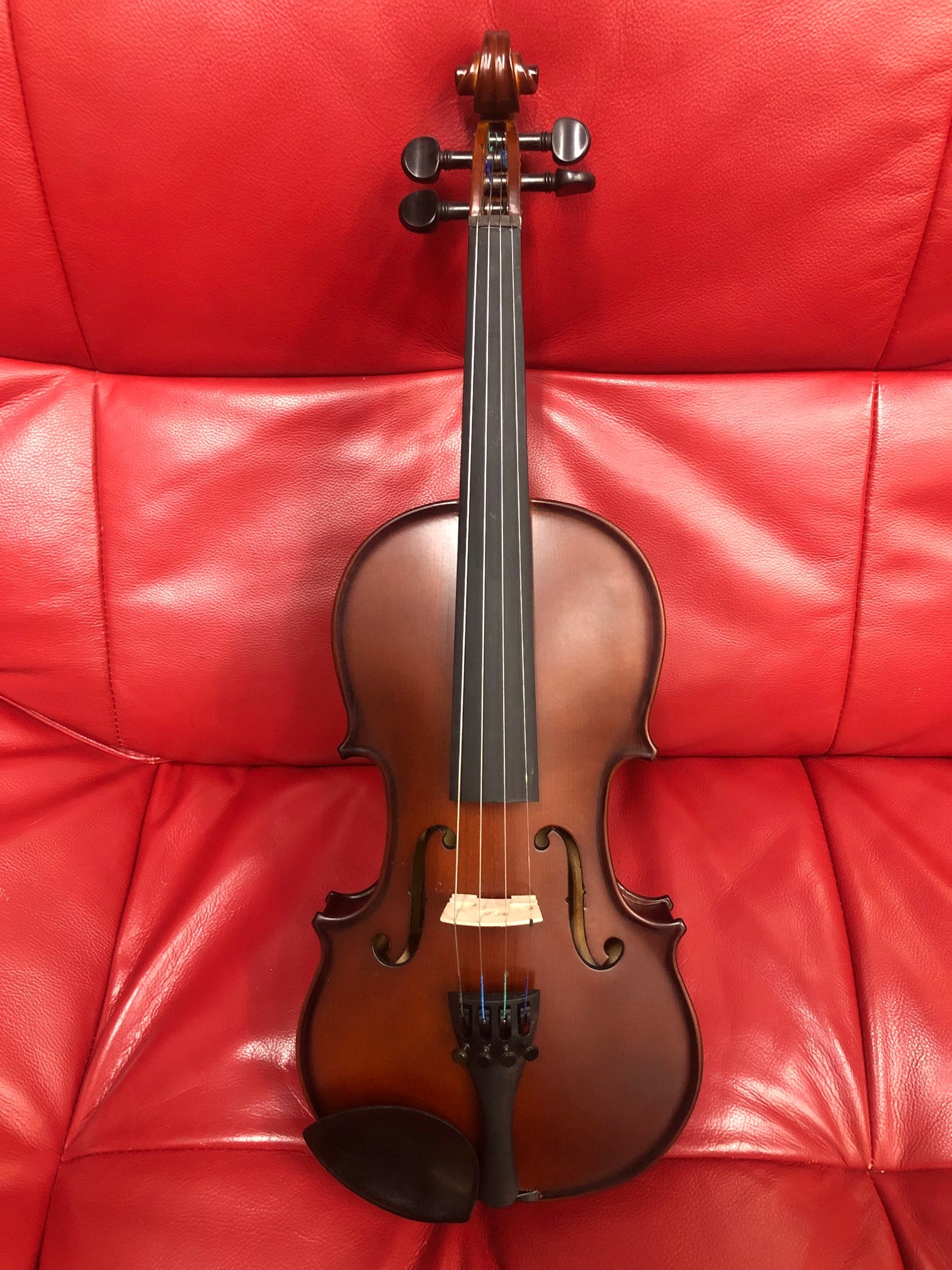 Enrico Student Plus 1/2 Violin Outfit with Setup 81784 SUNSHINE COAST MUSIC AT NOOSA BRAND NEW INSTRUMENTS NOOSA MUSIC 