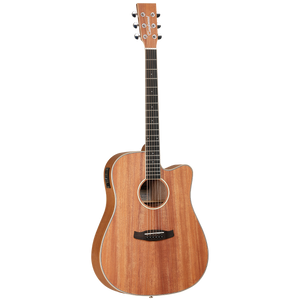 Tanglewood UNION Dreadnought with DCM Poly foam Hard/Soft Case