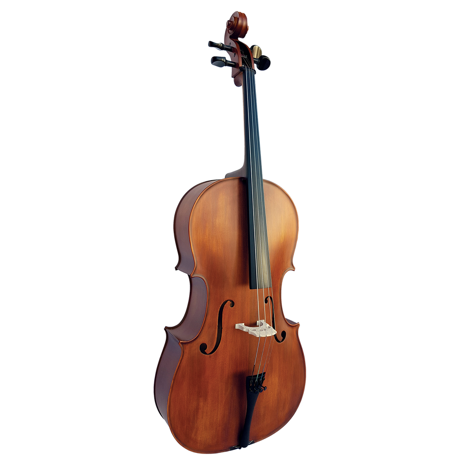 Vivo Neo Student 4/4 Violin Outfit with Professional Setup - VINEO44U MUSIC@NOOSA NOOSA MUSIC FULL SIZE VIOLIN 