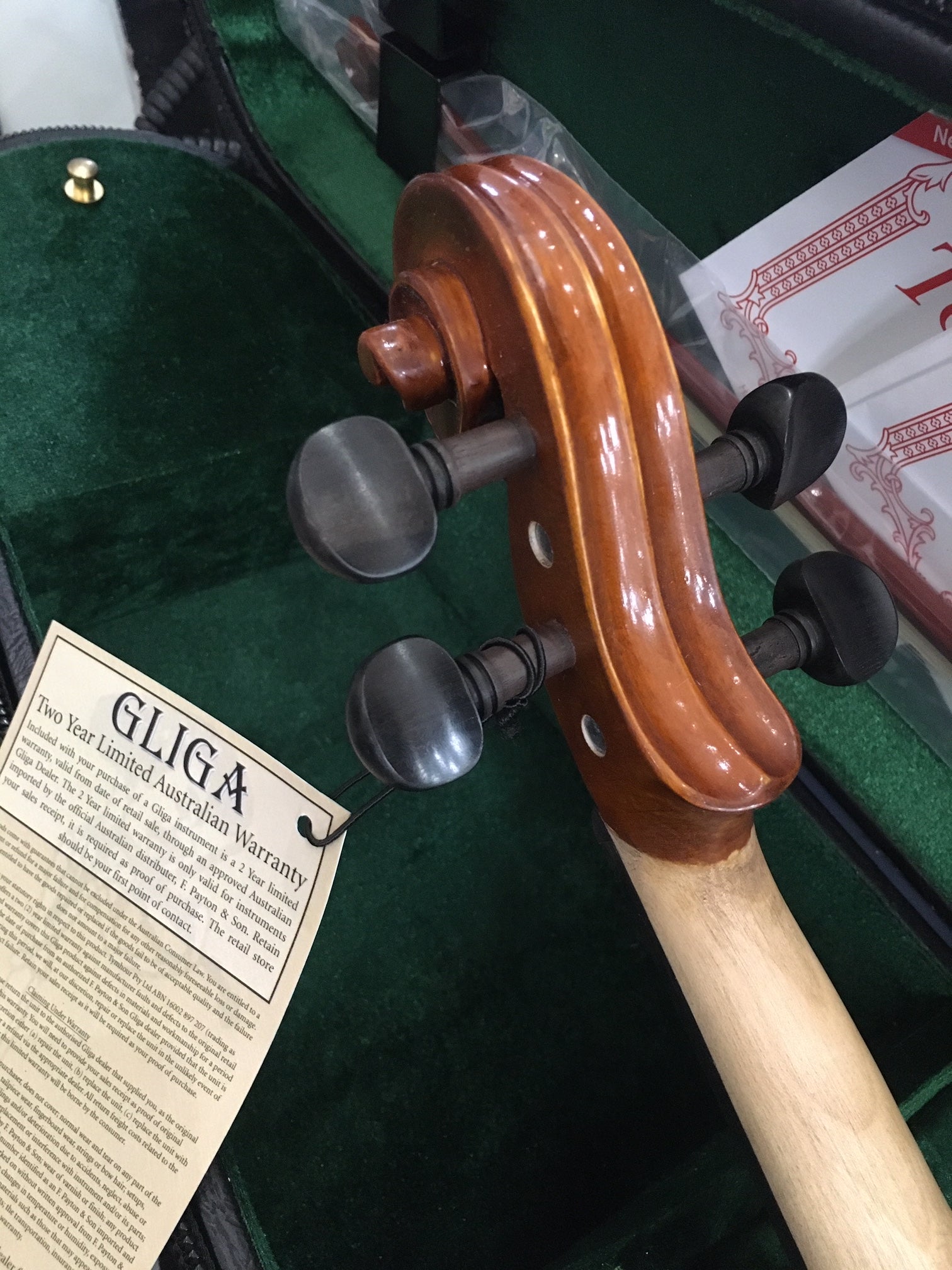 Gliga III 3/4 violin outfit with set up