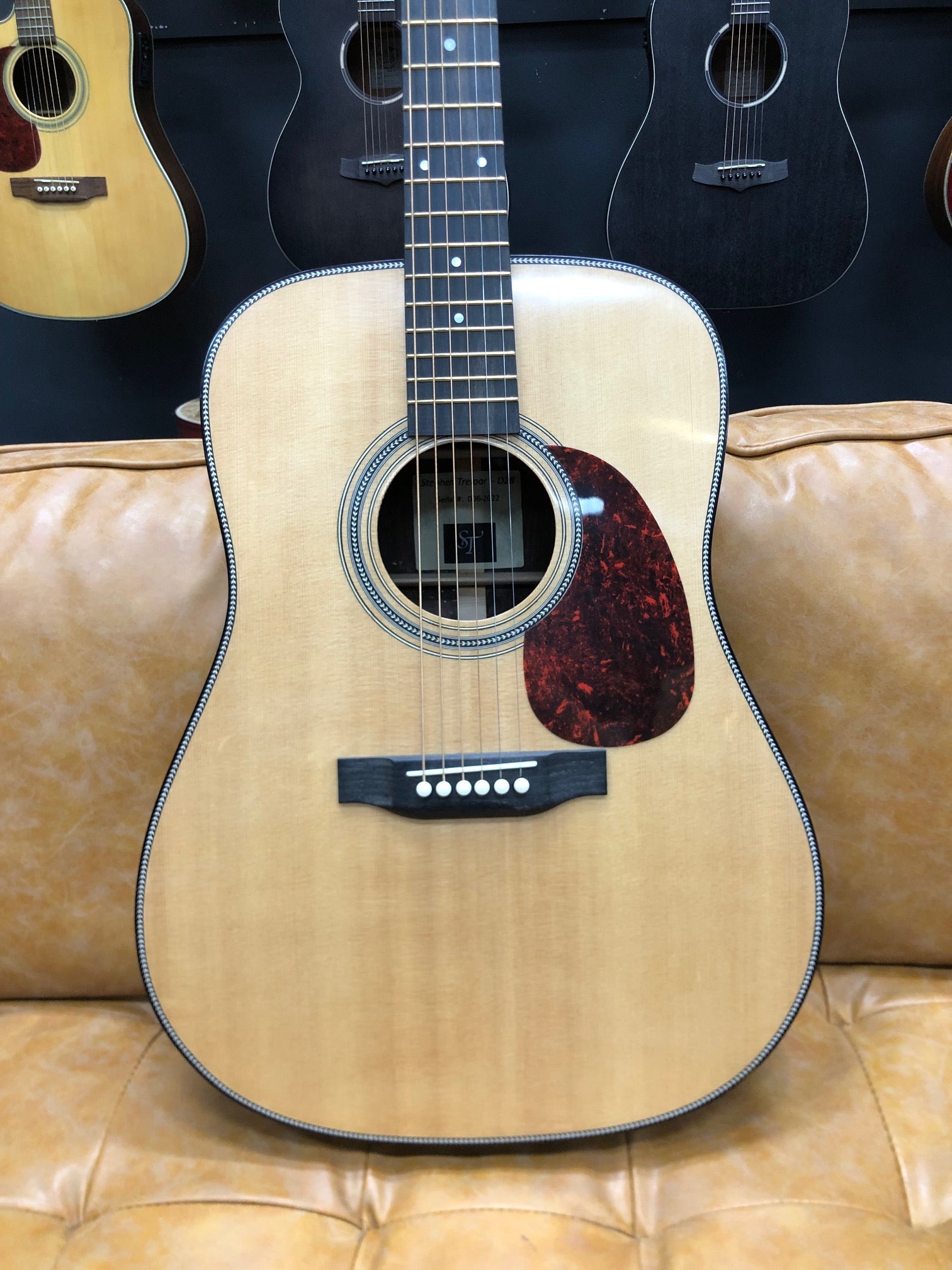 Stephen Treloar D28 Inspired Dreadnought Acoustic w/Case