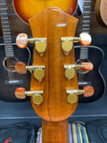 Petros Applecreek  Custom D acoustic guitar (preowned)