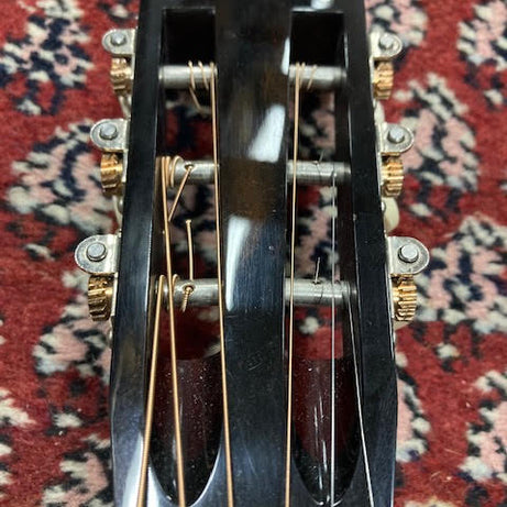 Santa Cruz Music at Noosa Headstock