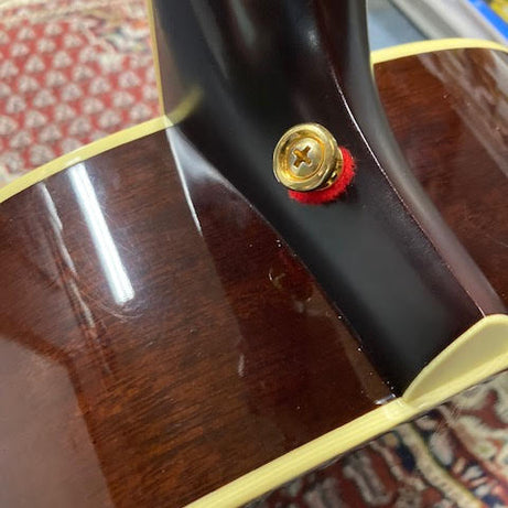 Santa Cruz Music at Noosa