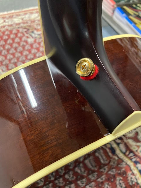 Santa Cruz Music at Noosa